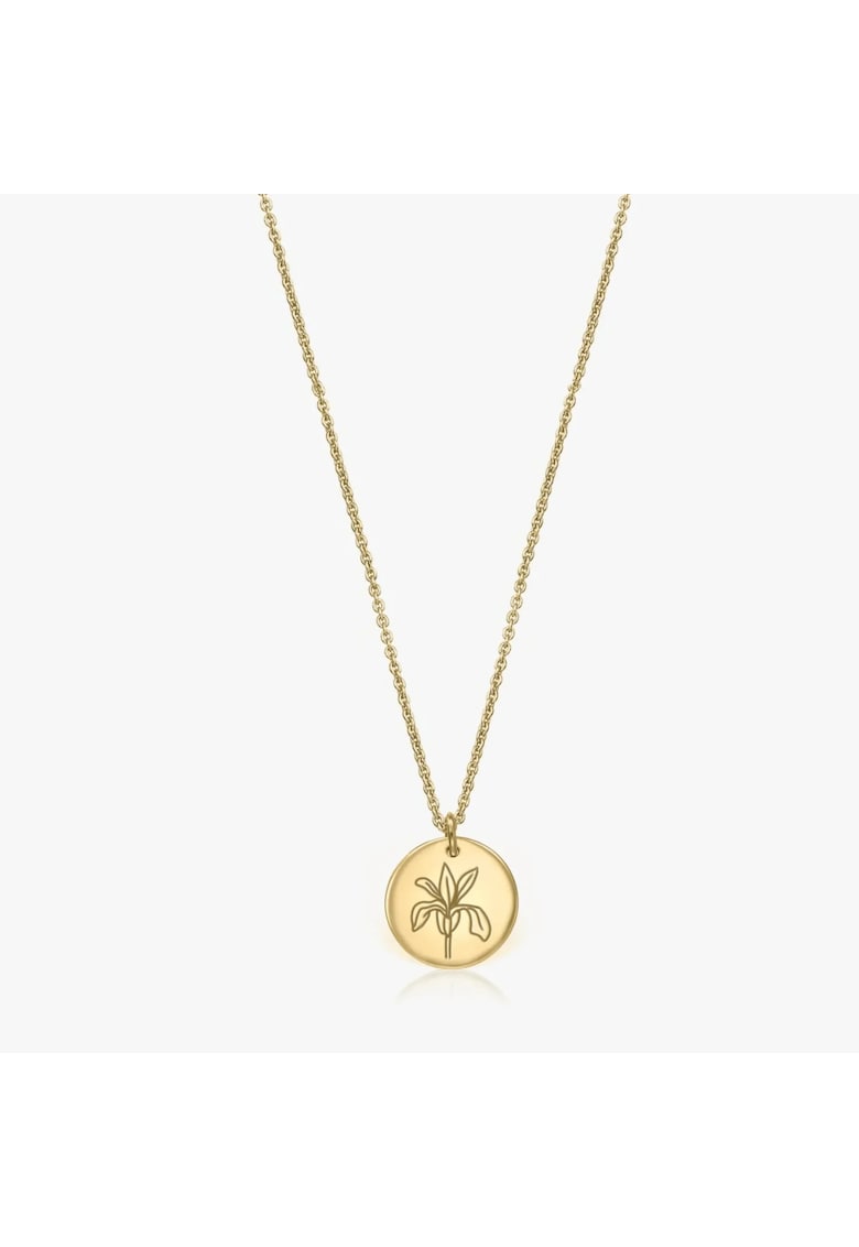 Oferte la Colier din argint Birth Flower Golden