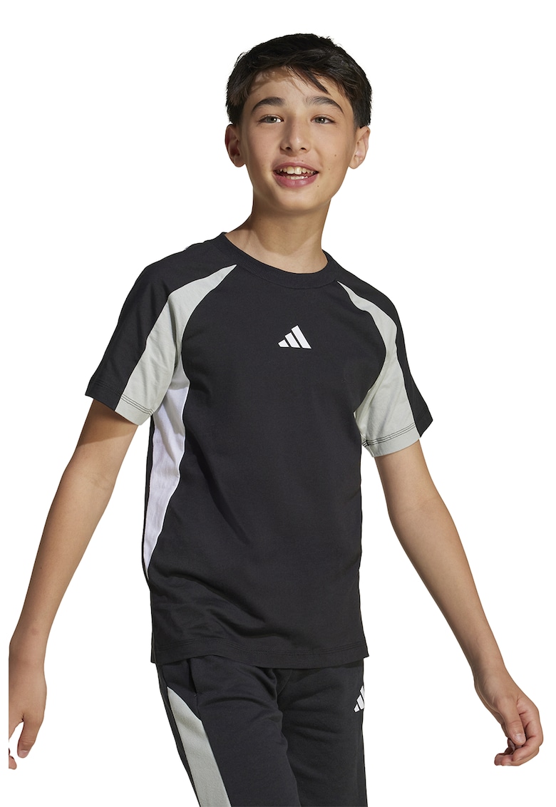 Oferte la Tricou de bumbac cu maneci raglan - Negru/Alb murdar