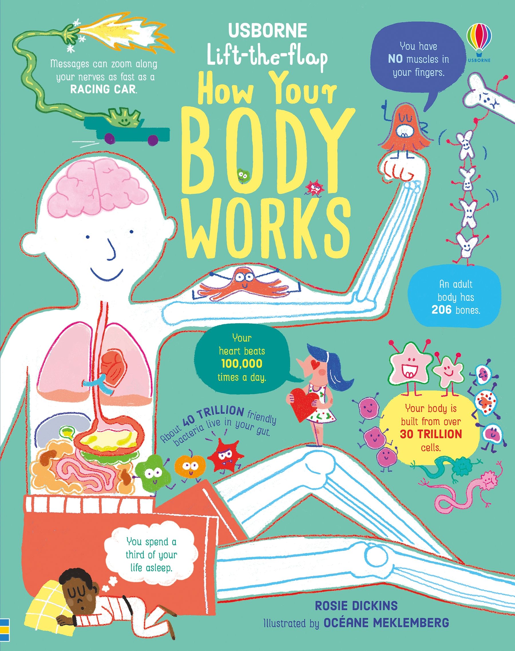 Lift the Flap How Your Body Works Usborne Books