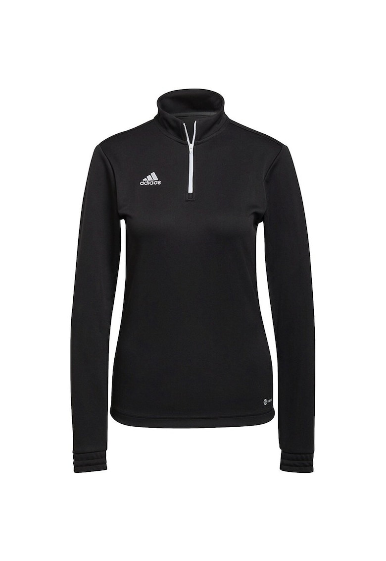 dama -  Negru1` - Negru