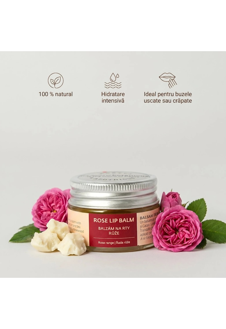 Oferte la Balsam de buze natural cu Trandafir  100 % natural - pentru buze uscate sau crapate - puternic hidratant - reparator si protector - cu Unt de shea - ulei de Trandafir si Catina