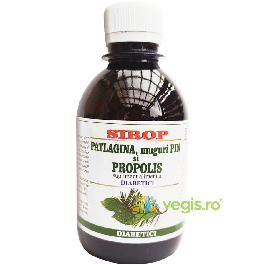 Oferte la Sirop de Patlagina, Muguri de Pin si Propolis pentru Diabetici 200ml