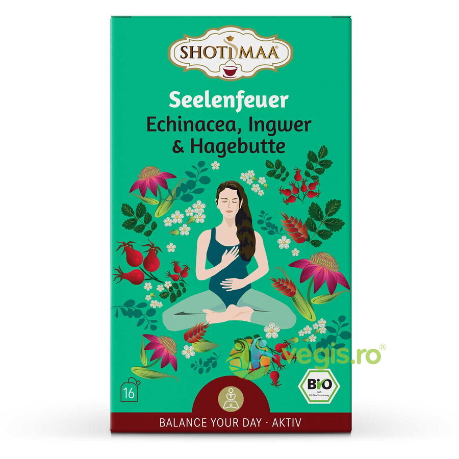 Oferte la Ceai cu Echinacea, Ghimbir si Macese Valance Your Day-Lifespring Ecologic/Bio 16dz