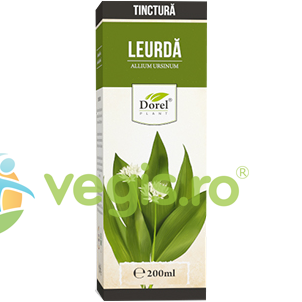 Oferte la Tinctura de Leurda 200ml