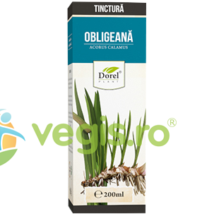 Oferte la Tinctura de Obligeana 200ml