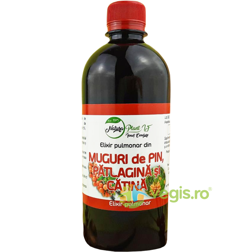 Oferte la Elixir Pulmonar din Muguri de Pin, Patlagina si Catina 200ml