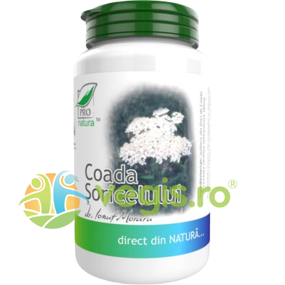 Oferte la Coada Soricelului 60cps