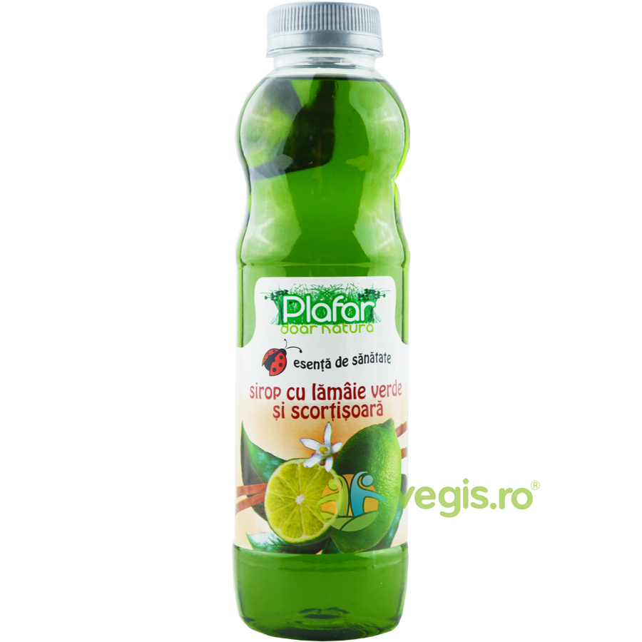 Oferte la Sirop cu Lamaie Verde si Scortisoara 500ml