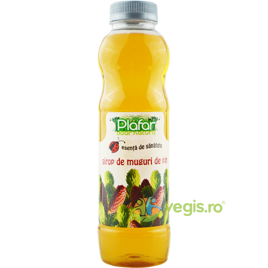 Oferte la Sirop de Muguri de Pin 500ml