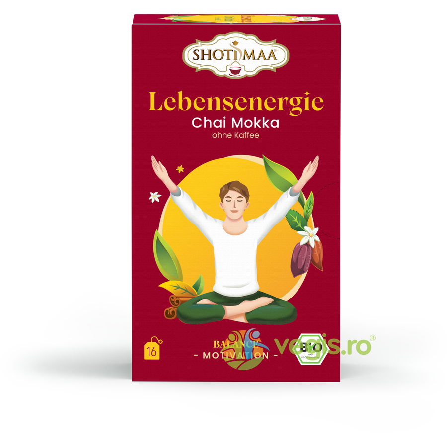 Oferte la Ceai Balance Your Day - Life Energy - Chai Moka (fara Cafea) Ecologic/Bio 16dz