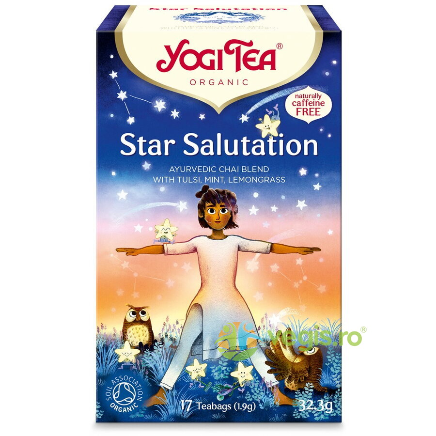 Oferte la Ceai Star Salutation Ecologic/Bio 17 plicuri - 32.3g