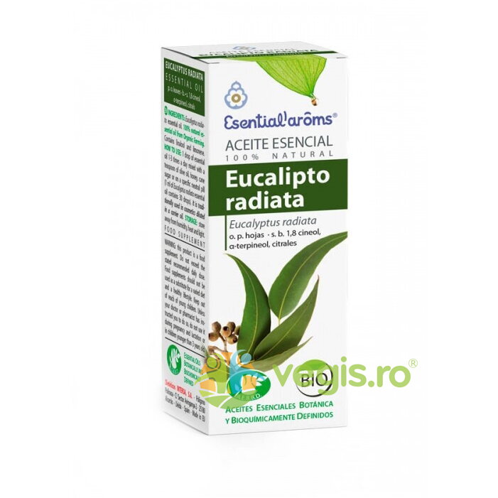 Oferte la Ulei Esential de Eucaliptus Radiata Bio 10ml