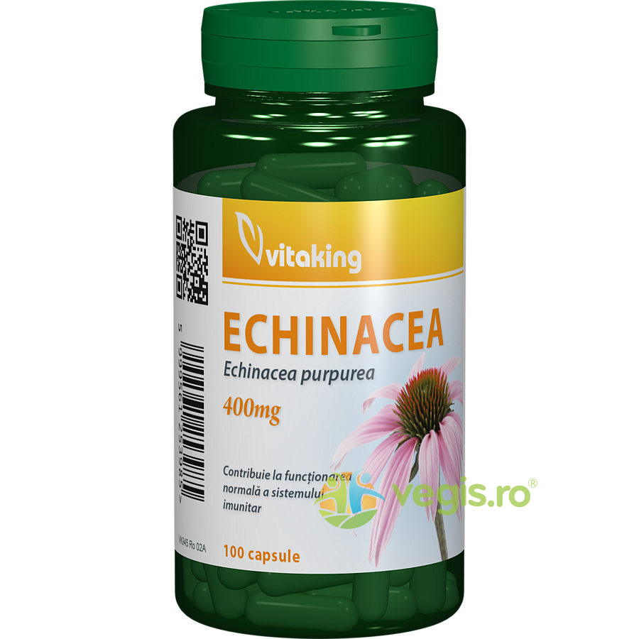 Oferte la Extract de Echinacea 250mg 90cps
