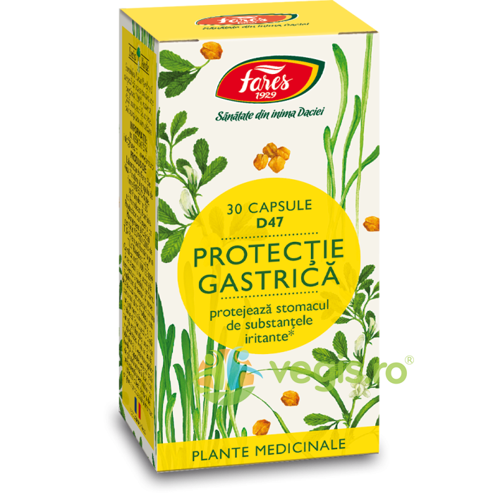 Oferte la Protectie Gastrica (D47) 30cps