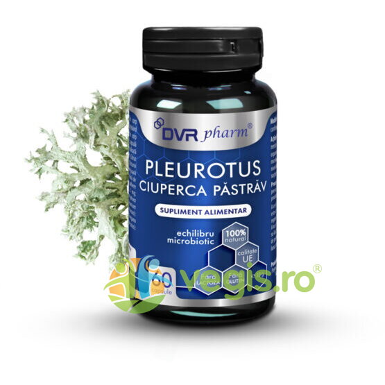 Oferte la Pleurotus-Ciuperca Pastrav 60cps