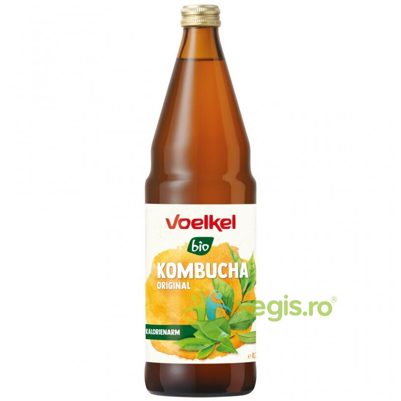 Oferte la Bautura Acidulata pe Baza de Kombucha Ecologic/Bio 750ml