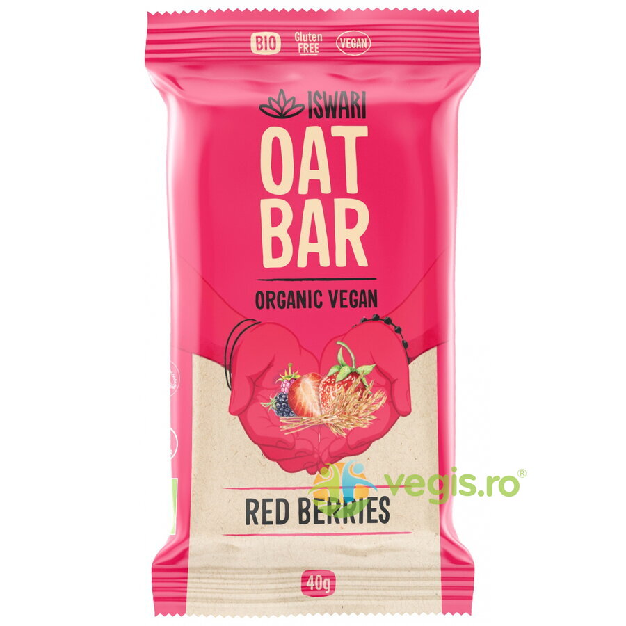 Oferte la Baton Energizant din Ovaz, Sfecla si Fructe de Padure fara Gluten Ecologic/Bio 40g