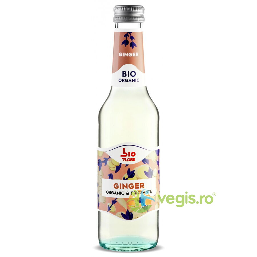 Oferte la Bautura Carbogazoasa Ginger Ecologica/Bio 275ml