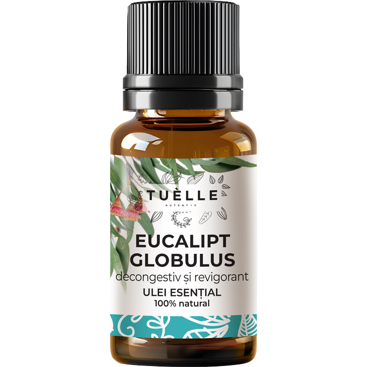Oferte la Ulei Esential de Eucalipt Globulus 10ml