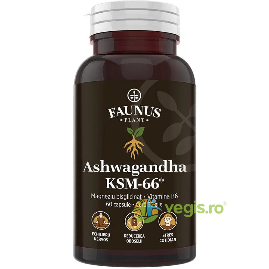 Oferte la Ashwagandha KSM-66 60cps