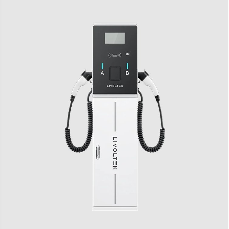 Oferte la Statie incarcare trifazata Livoltek B1U2ME2MOM5SR11002, AC Charger, 4G/BLE/Ethernet, 2x 22KW, no POS