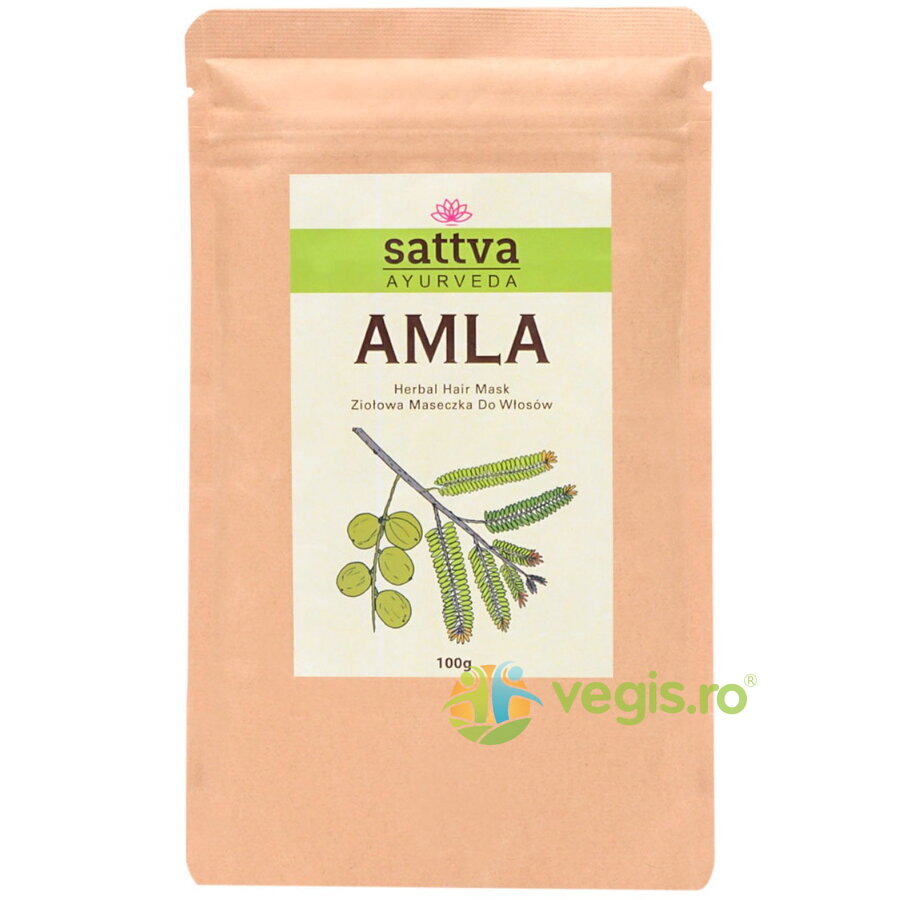 Oferte la Pudra de Amla 100g