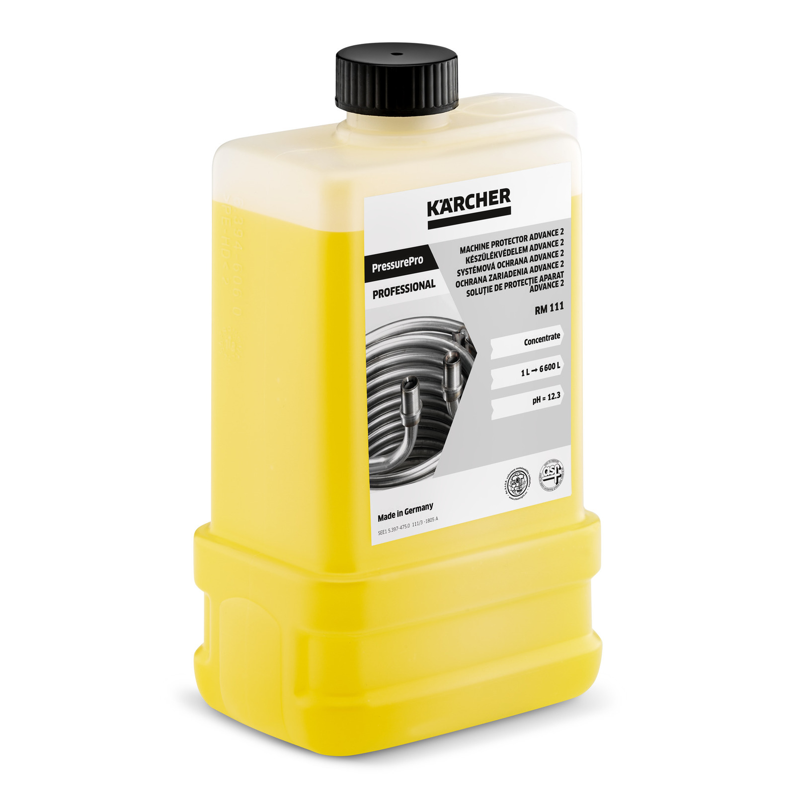 Oferte la Kärcher Intretinere sistem avansat 2 - intretinere pompe + protectie impotriva apei negre RM 111 ASF