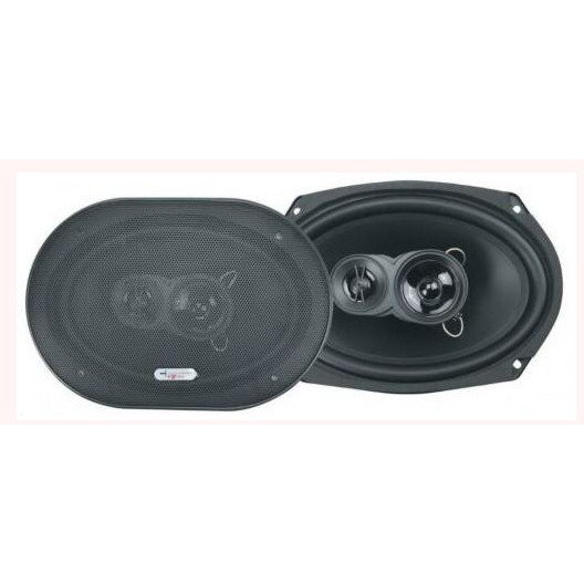 Oferte la Boxe Auto X693 100W RMS Black