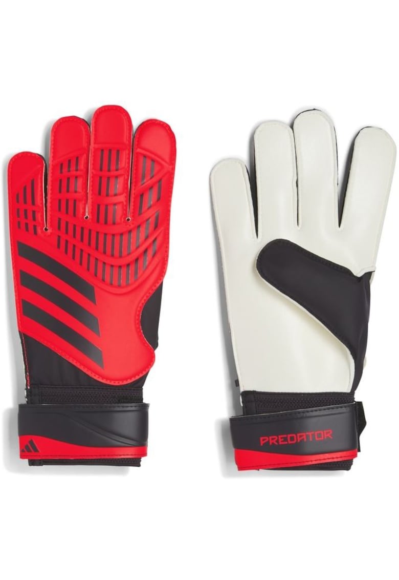Oferte la Manusi portar Adidas Predator Training - Rosu/Negru