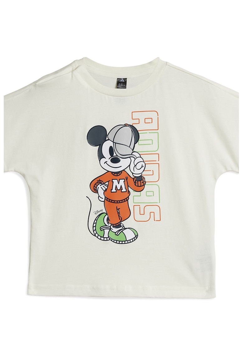 Oferte la Tricou de bumbac cu logo si imprimeu grafic - Portocaliu stins/Verde pal/Alb optic