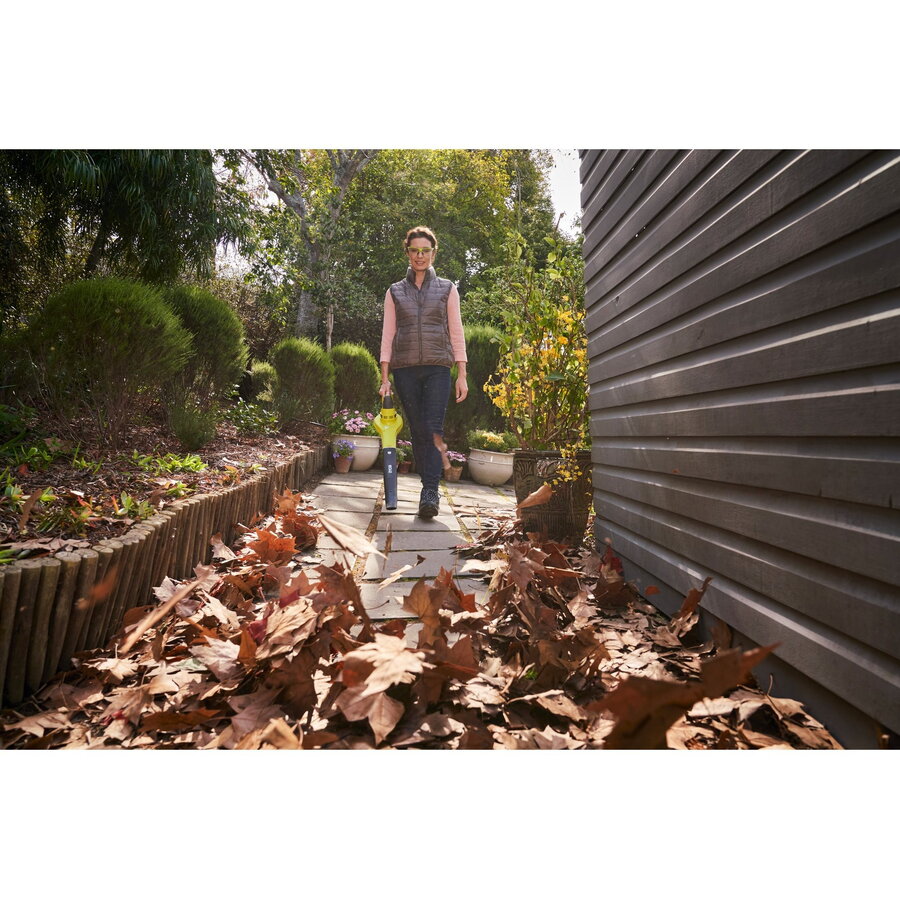 Oferte la Suflanta frunze ONE+ Cordless Leaf Blower RBL1820S40F, 18V (green/black, without battery and charger)