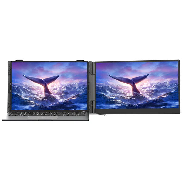 Oferte la Monitor Portabil 14Inch Dual SCM6 Full HD LED