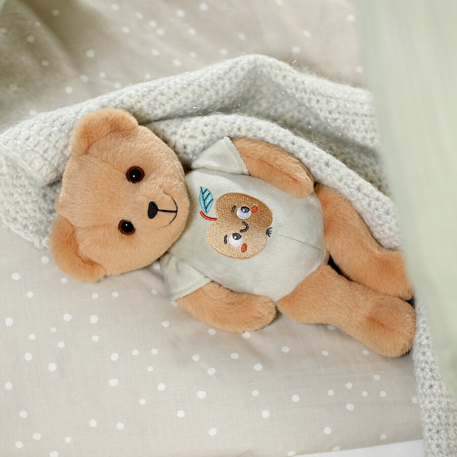 Oferte la Jucarie Teddy +1 an
