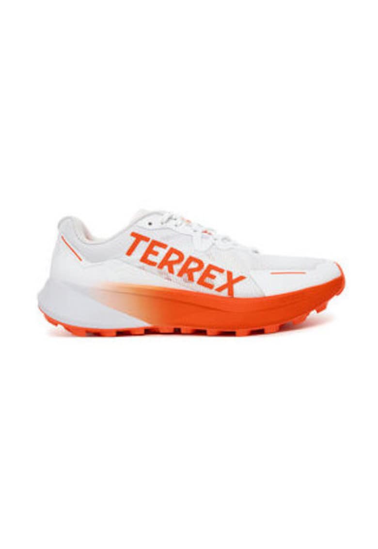 Oferte la Pantofi de alergare pe teren accidentat TERREX Agravic 3