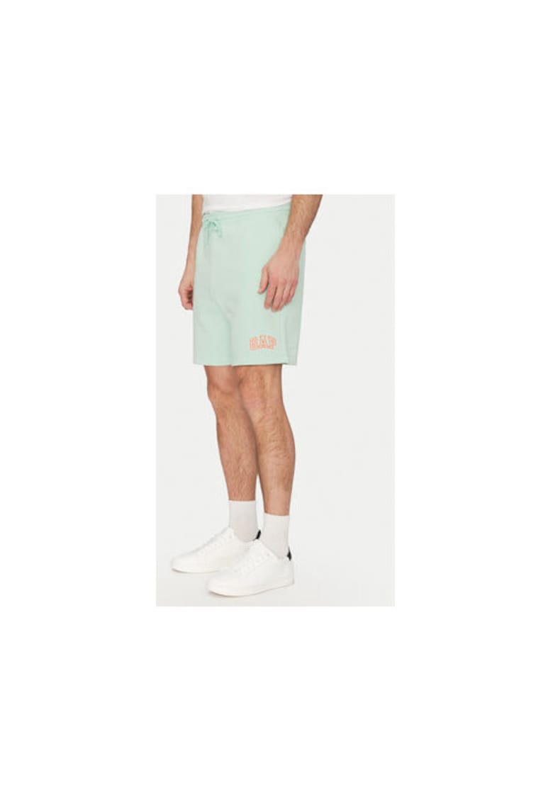 Oferte la Pantaloni scurti sport barbati  703989-01 - Bumbac /Poliester reciclat - 46794 - Verde