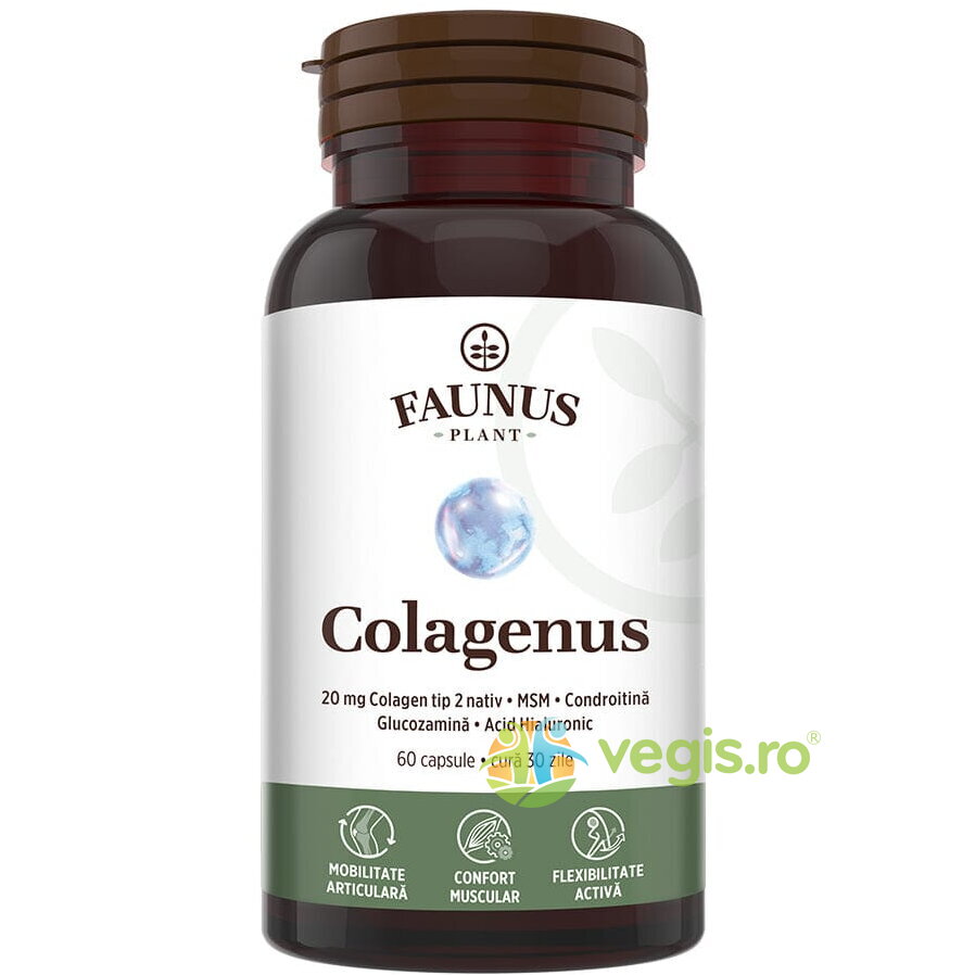 Oferte la Colagen pentru Articulatii Colagenus 60cps