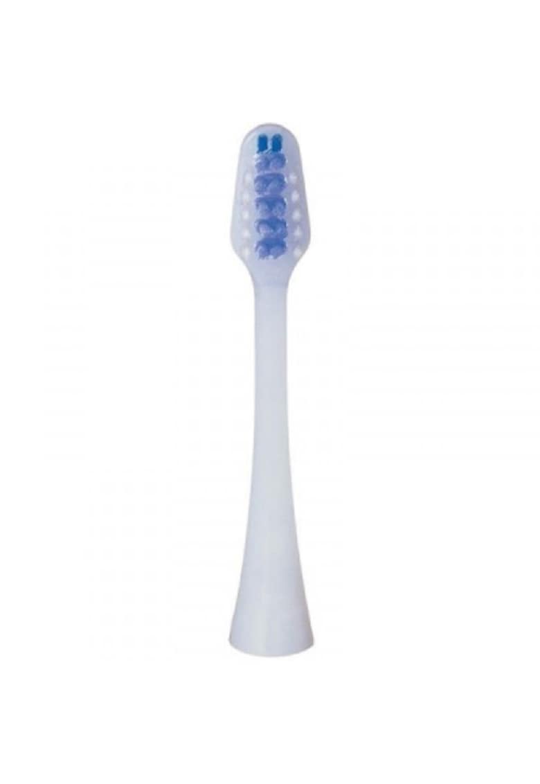 Oferte la Rezerva periuta de dinti   compatibila cu EW1012 / EW1031 / EW1035