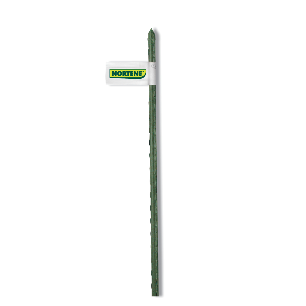 Oferte la Tutor pentru plante Nortene, otel acoperit cu plastic, verde, Ø16 mm, 210 cm