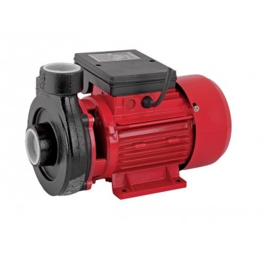 Oferte la Pompa de apa  750W RD-1.5DK20 (1), 2900 rpm, 9 m