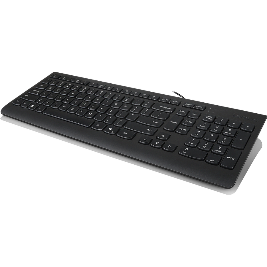 Oferte la Tastatura Standard cu Fir 300 USB Layout US English Negru
