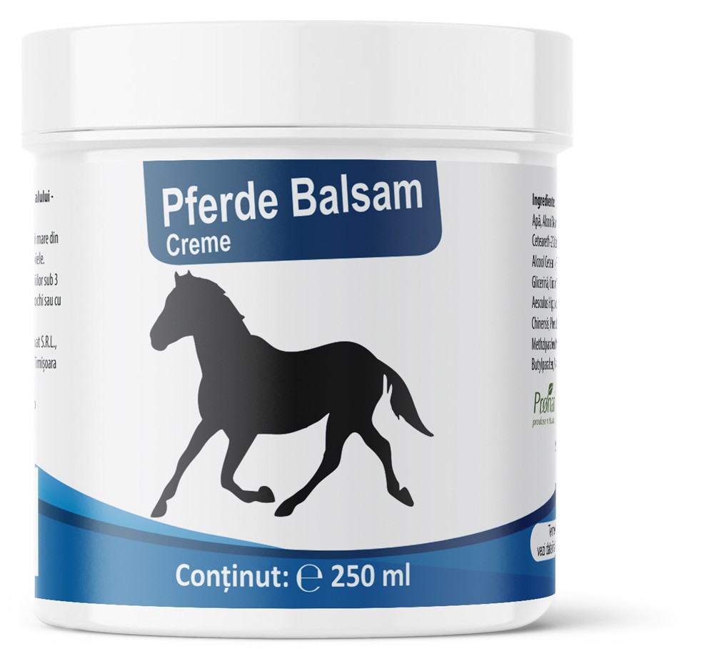 Oferte la Unguent anti reumatic Puterea calului 250ml Medicura