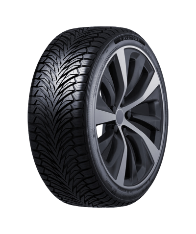 Oferte la AUSTONE FIXCLIME SP401 235/55R17 103 W XL
