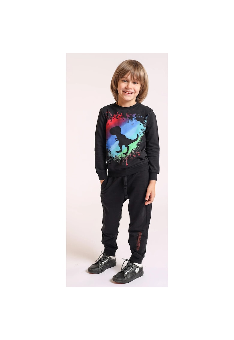 Oferte la Bluza cu maneca lunga pentru baieti - din bumbac