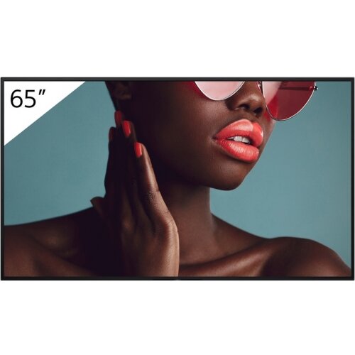 Oferte la Ecran Profesional FW-65BZ40L 65 3840 x 2160 4K Deep Black Non-Glare Direct LED Negru