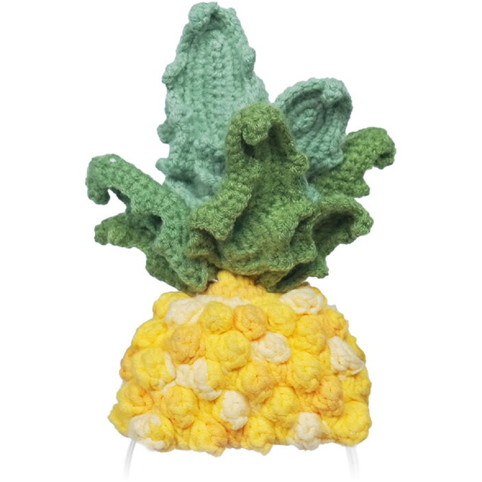 Oferte la Costum Tricotat Premium Pineapple pentru Robot Interactiv 6+ Ani