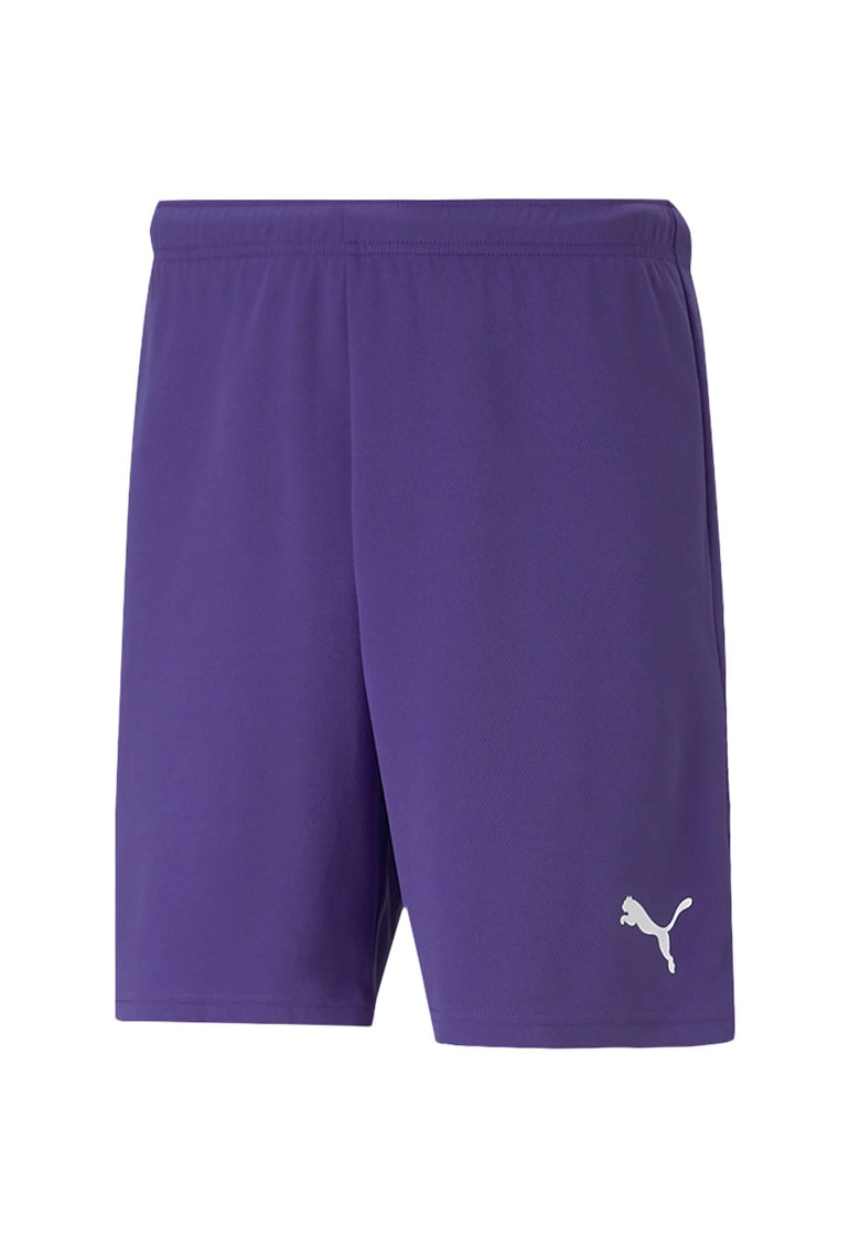 Pantaloni sport barbati  teamRISE - DryCell - violetdaazxf - Mov