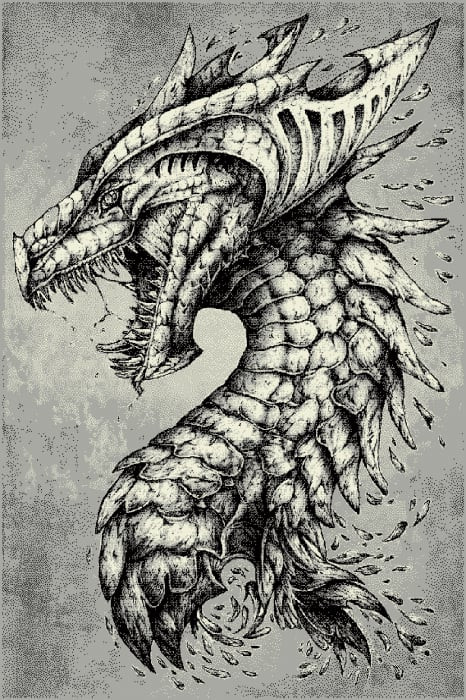 Covor Kolibri Dragon 11611