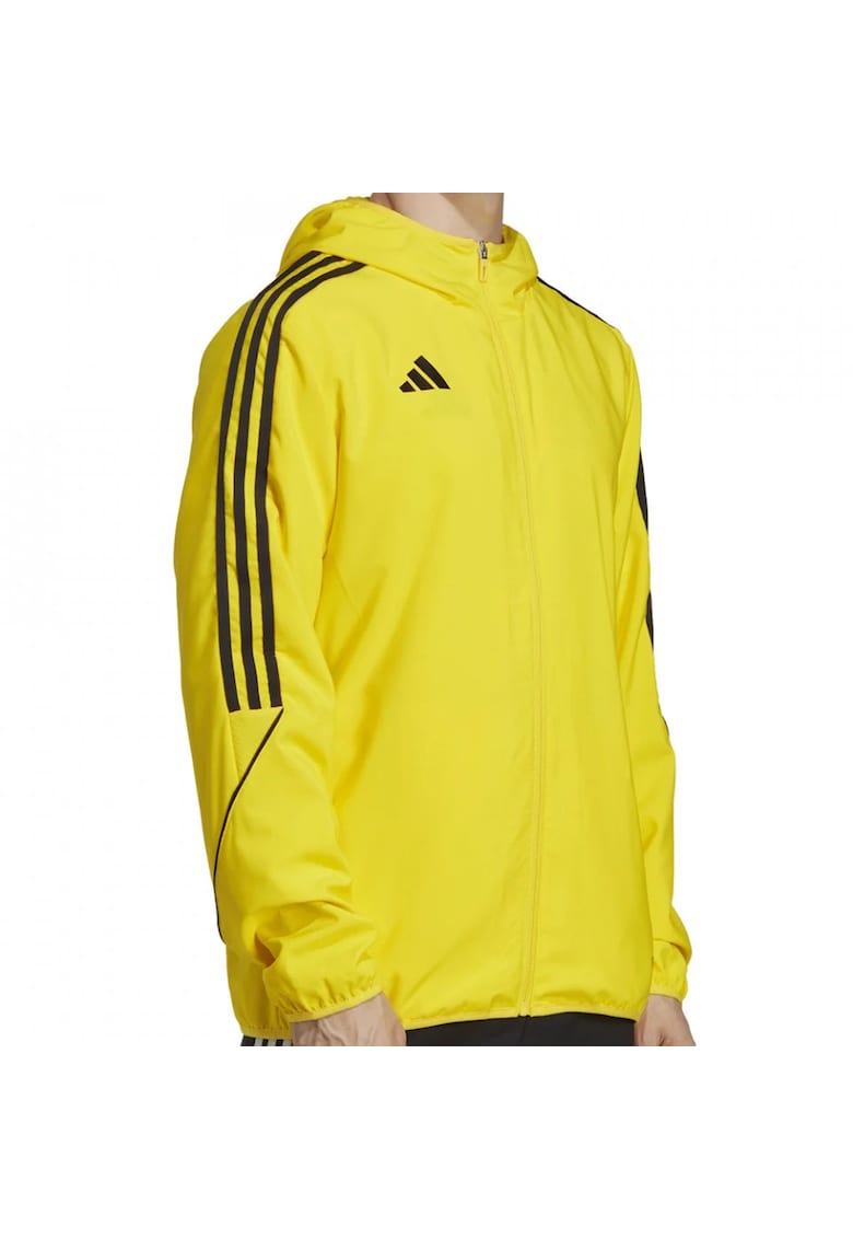 Hanorac  Tiro 23 League Windbreaker barbati - Galben