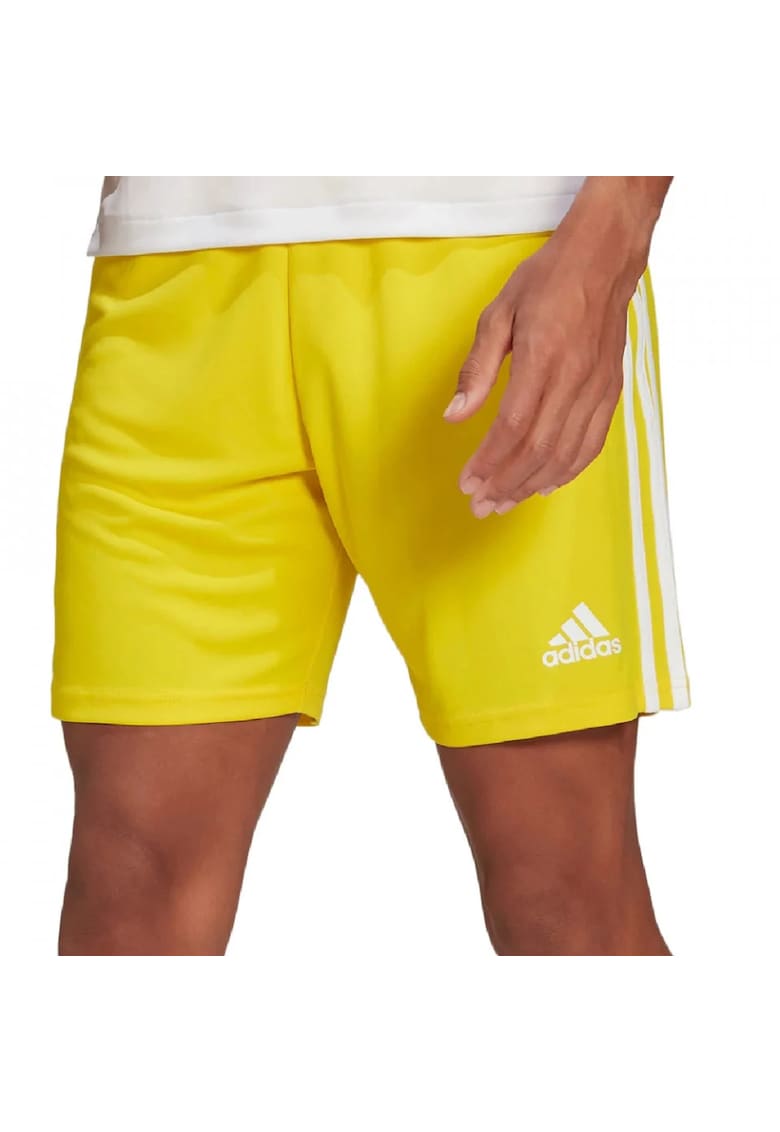 Pantaloni  Squadra 21 barbati - Galben