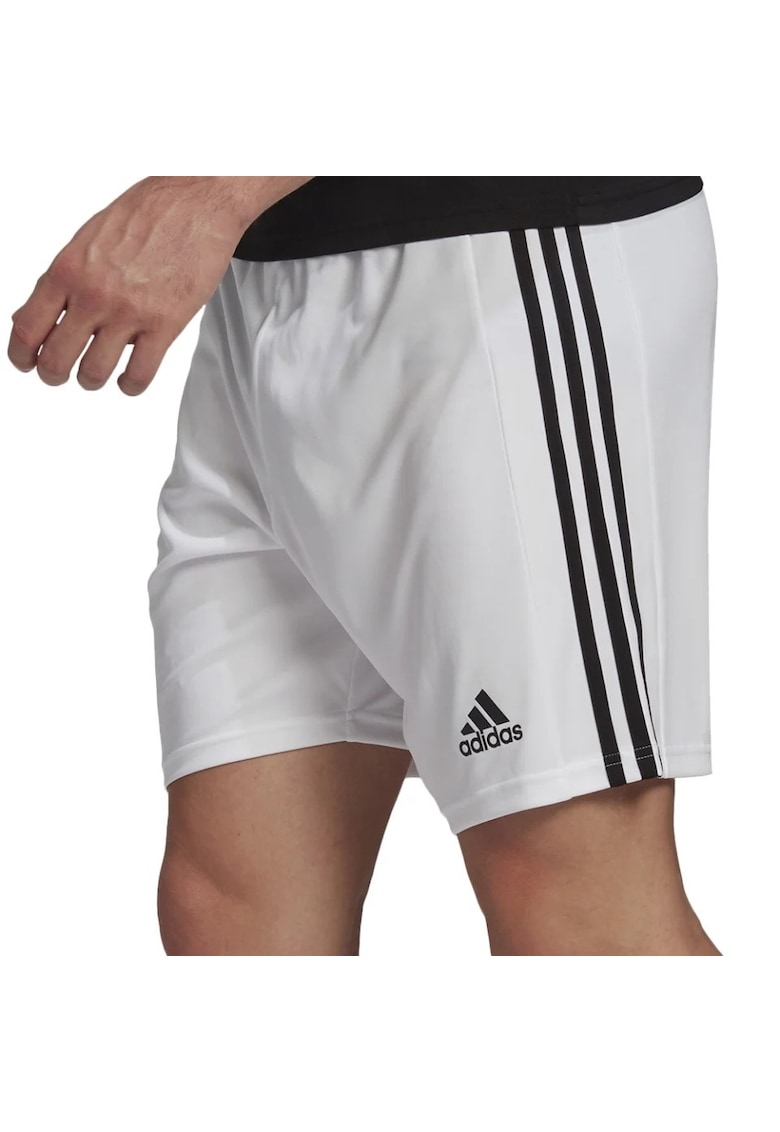 Pantaloni  Squadra 21 barbati - Alb